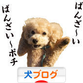 にほんブログ村 犬ブログへ
