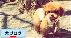 にほんブログ村 犬ブログへ