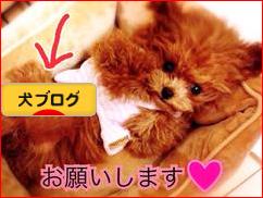 にほんブログ村 犬ブログへ
