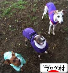 にほんブログ村 犬ブログへ