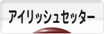 にほんブログ村 犬ブログ アイリッシュセッターへ