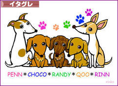 にほんブログ村 犬ブログ イタリアングレーハウンドへ