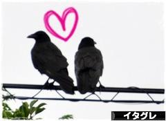 にほんブログ村 犬ブログ イタリアングレーハウンドへ