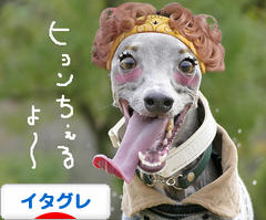 にほんブログ村 犬ブログ イタリアングレーハウンドへ