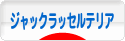 にほんブログ村 犬ブログ ジャックラッセルテリアへ