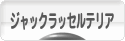 にほんブログ村 犬ブログ ジャックラッセルテリアへ