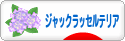 にほんブログ村 犬ブログ ジャックラッセルテリアへ