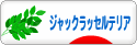 にほんブログ村 犬ブログ ジャックラッセルテリアへ