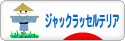 にほんブログ村 犬ブログ ジャックラッセルテリアへ