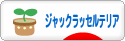 にほんブログ村 犬ブログ ジャックラッセルテリアへ