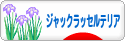 にほんブログ村 犬ブログ ジャックラッセルテリアへ