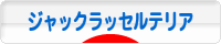 にほんブログ村 犬ブログ ジャックラッセルテリアへ