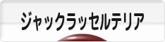 にほんブログ村 犬ブログ ジャックラッセルテリアへ
