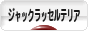 にほんブログ村 犬ブログ ジャックラッセルテリアへ
