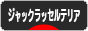 にほんブログ村 犬ブログ ジャックラッセルテリアへ