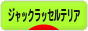 にほんブログ村 犬ブログ ジャックラッセルテリアへ