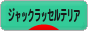 にほんブログ村 犬ブログ ジャックラッセルテリアへ