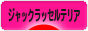 にほんブログ村 犬ブログ ジャックラッセルテリアへ