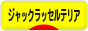 にほんブログ村 犬ブログ ジャックラッセルテリアへ