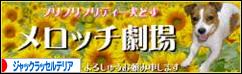 にほんブログ村 犬ブログ ジャックラッセルテリアへ