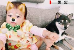にほんブログ村 犬ブログ 黒柴犬へ
