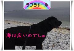 にほんブログ村 犬ブログ ラブラドールへ