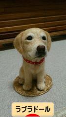 にほんブログ村 犬ブログ ラブラドールへ