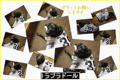 にほんブログ村 犬ブログ ラブラドールへ