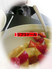 にほんブログ村 犬ブログ ラブラドールへ