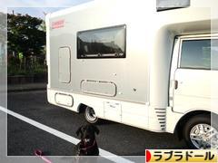 にほんブログ村 犬ブログ ラブラドールへ