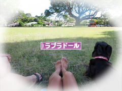 にほんブログ村 犬ブログ ラブラドールへ