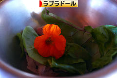 にほんブログ村 犬ブログ ラブラドールへ