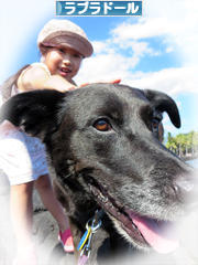 にほんブログ村 犬ブログ ラブラドールへ