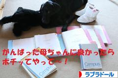 にほんブログ村 犬ブログ ラブラドールへ