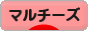 にほんブログ村 犬ブログ マルチーズへ