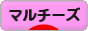 にほんブログ村 犬ブログ マルチーズへ