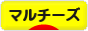 にほんブログ村 犬ブログ マルチーズへ
