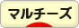 にほんブログ村 犬ブログ マルチーズへ