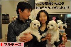 にほんブログ村 犬ブログ マルチーズへ