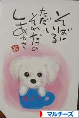 にほんブログ村 犬ブログ マルチーズへ
