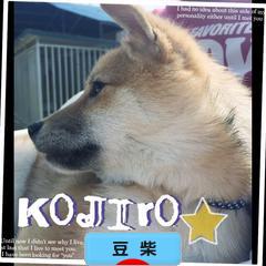にほんブログ村 犬ブログ 豆柴犬へ