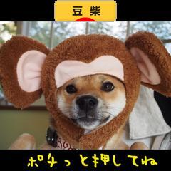 にほんブログ村 犬ブログ 豆柴犬へ