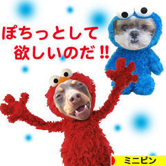 にほんブログ村 犬ブログ ミニピンへ