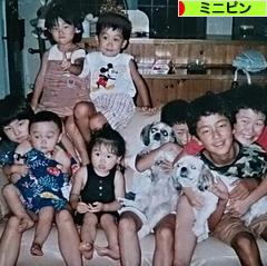 にほんブログ村 犬ブログ ミニピンへ