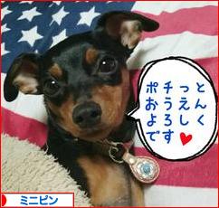 にほんブログ村 犬ブログ ミニピンへ