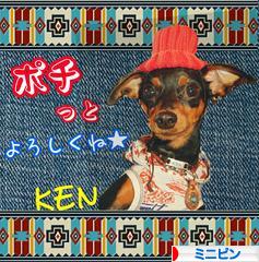 にほんブログ村 犬ブログ ミニピンへ