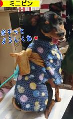 にほんブログ村 犬ブログ ミニピンへ