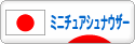 にほんブログ村 犬ブログ ミニチュアシュナウザーへ