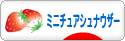 にほんブログ村 犬ブログ ミニチュアシュナウザーへ