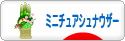 にほんブログ村 犬ブログ ミニチュアシュナウザーへ